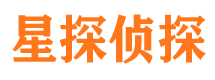 成武侦探公司